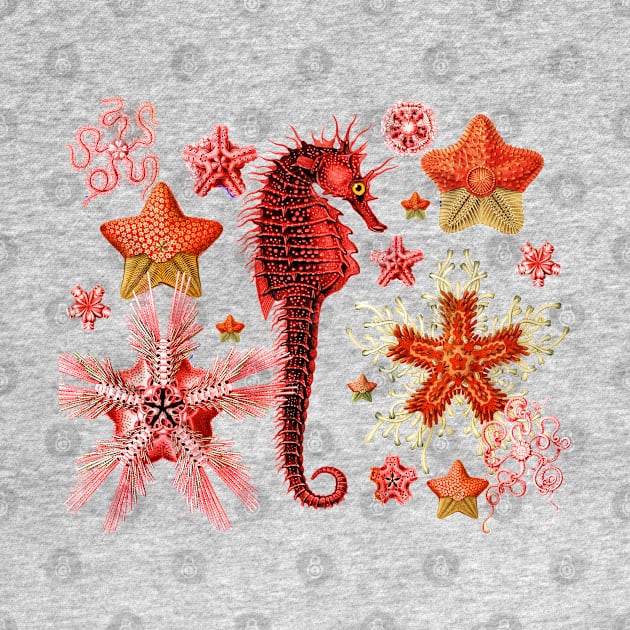 RED SEAHORSE AND SEASTARS IN AQUA BLUE Sea Life by BulganLumini